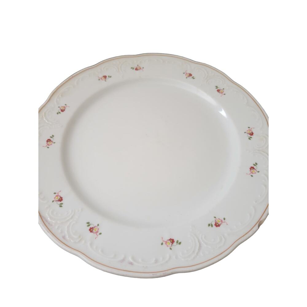 Lilien Porcelain Large Dinner Plate 10 inch diameter‎ Austria Minners Designs NY